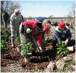 rain garden workshop
